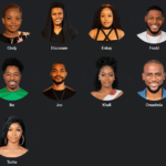 Big Brother Naija 2019 Week 7 Voting Poll