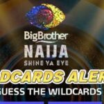 Big Brother Naija 2021 Wildcard Twist