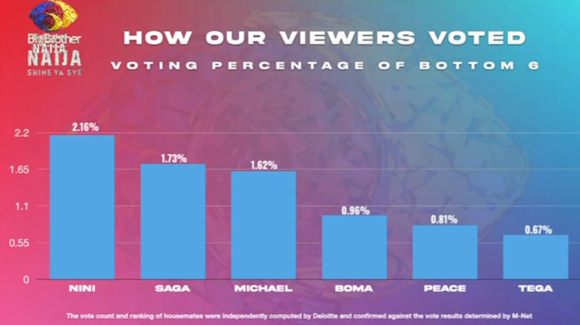 BBNaija Voting Percentage