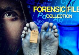 TV Shows Like Forensic Files
