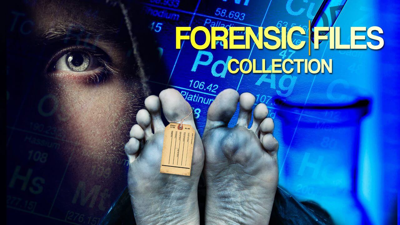 TV Shows Like Forensic Files