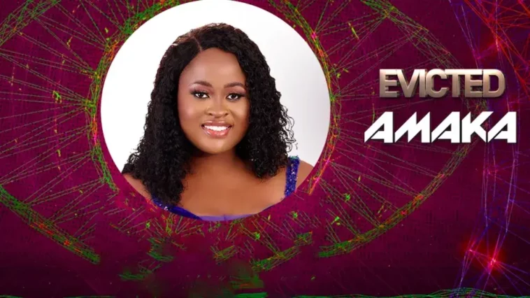 BBNaija: Amaka Evicted from Big Brother Naija Season 7