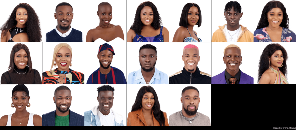 Big Brother Naija 2022 Week 5 Voting Poll