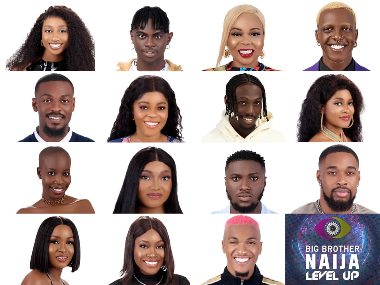 Big Brother Naija 2022 Week 6 Voting Poll
