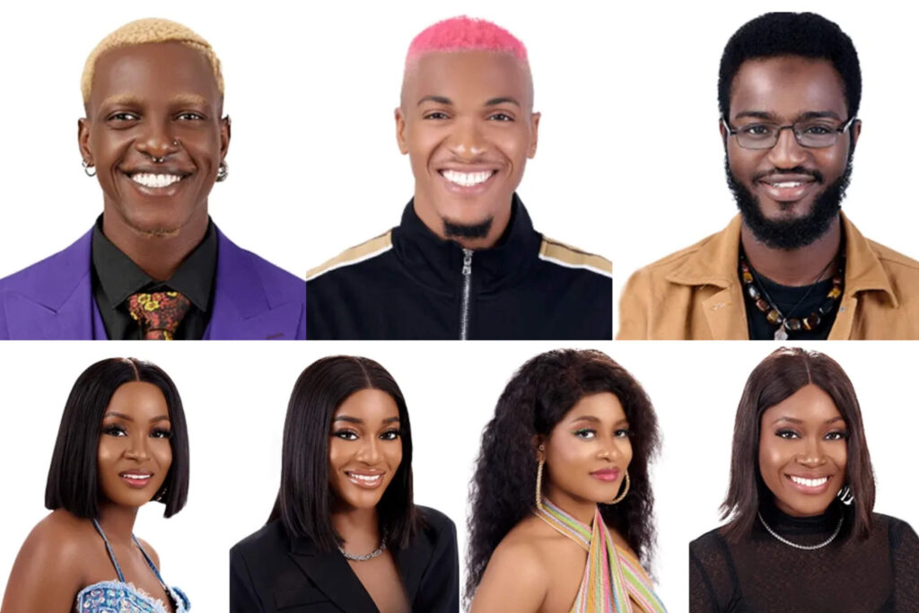  most searched bbnaija level up housemates