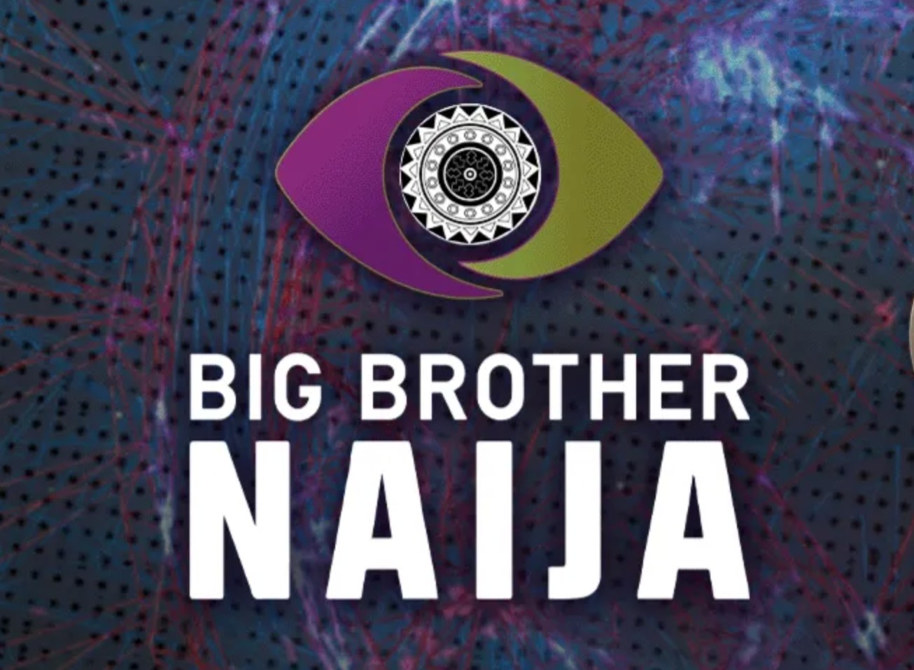 BBNaija Latest News & Updates Season 7 | Big Brother Naija 2022 News Today