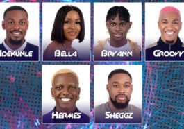 BBNaija 2022 Week 9 Live Eviction Show; Voting Result, Percentage and Names of Evicted Housemates