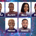 Big Brother Naija 2022 Week 8 Live Eviction Show
