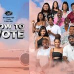 How To Vote On Big Brother Titans Housemates