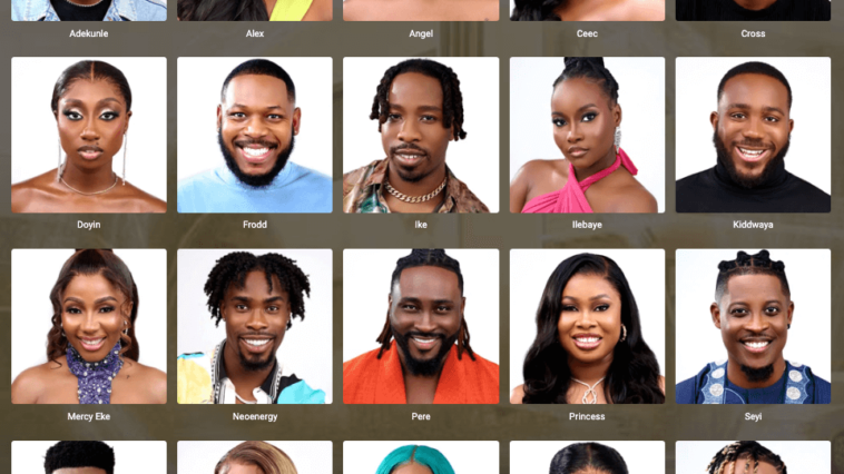 Vote for Your Favourite Big Brother Naija 2023 Housemate